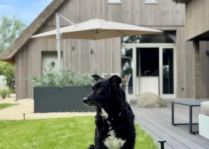 Bunnyhuus Scheunen-loft Prázdninový dům Oberndorf (Lower-Saxony)
